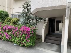 けやき訪問クリニック
