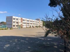 泉小学校