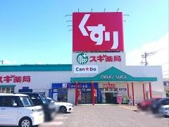 スギ薬局　島店
