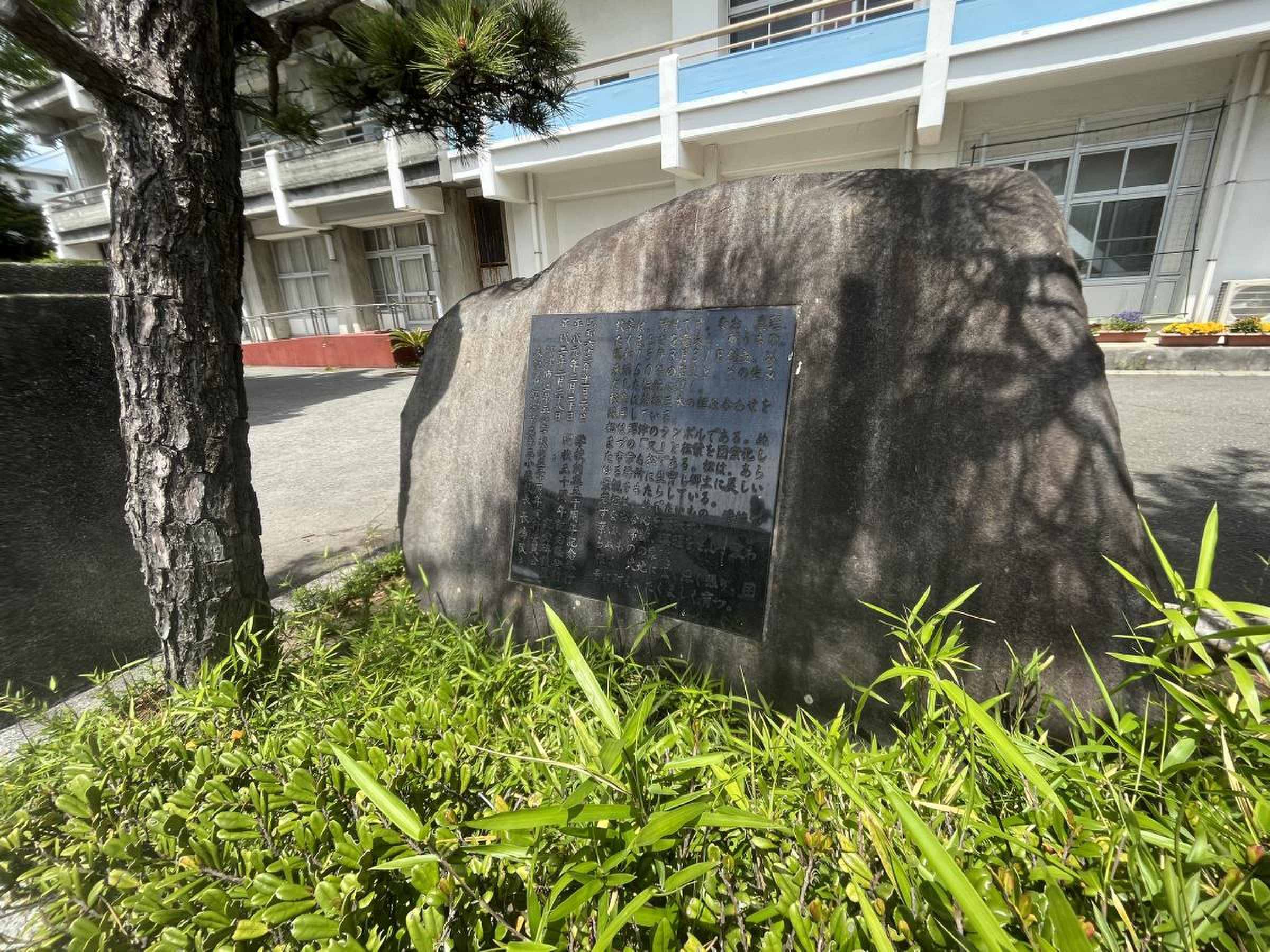 沼津 市立 第 五 小学校