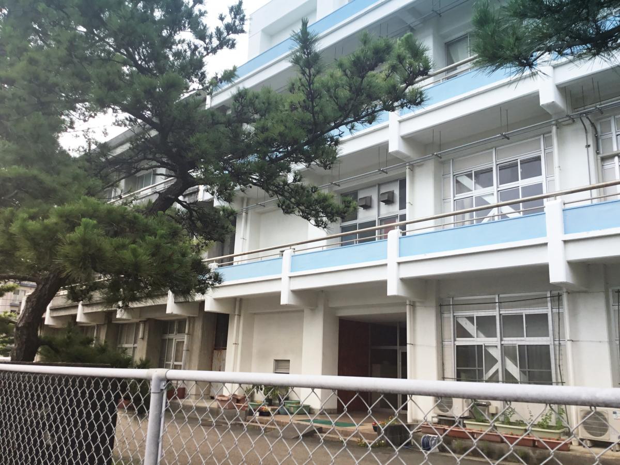 沼津 市立 第 五 小学校