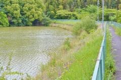 荒巻水辺公園