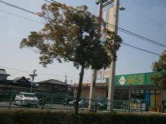 アミーゴ　松山久米店