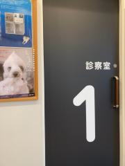 ｋｏｎｏｍｉ動物病院