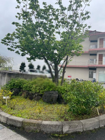 サンフラワーガーデン 風景
