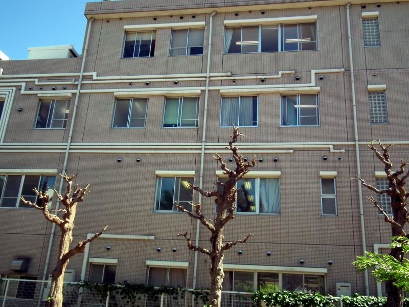 建物南側の一部