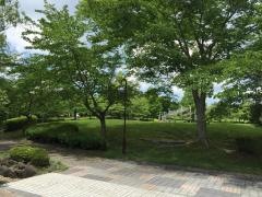 豊郷台中央公園