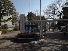 私立昭和女子大学附属昭和中学校