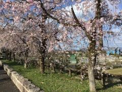 ちぐさ公園
