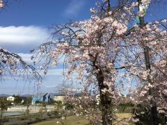 ちぐさ公園