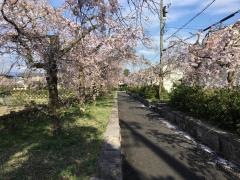 ちぐさ公園