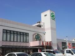 ライフ　横堤店