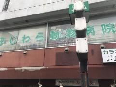 ふじわら動物病院