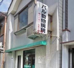 パル動物病院