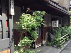 鳥新
