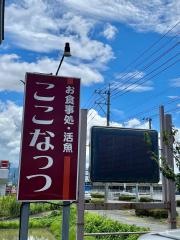 ここなっつ