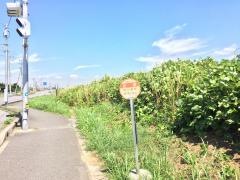 「出津」バス停留所