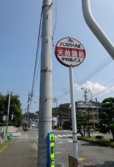 「天赦園前」バス停留所