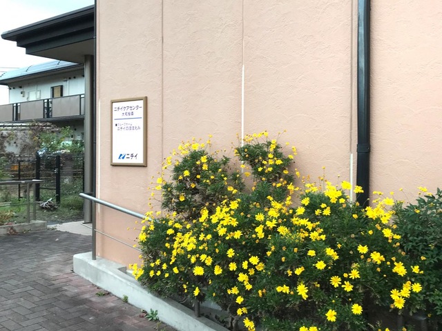 施設外観