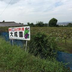 大成園