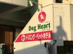 ドッグハート
