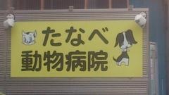 たなべ動物病院