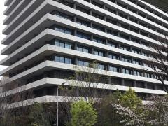 楽天損害保険株式会社　大阪支店