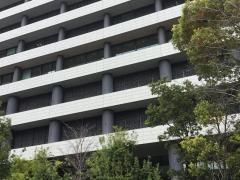 楽天損害保険株式会社　大阪支店