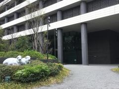 楽天損害保険株式会社　大阪支店