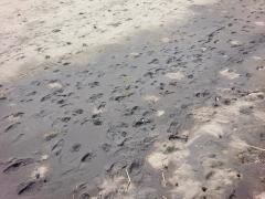 平砂浦