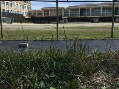 名古屋市立港明中学校