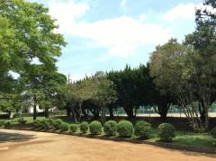 美合公園