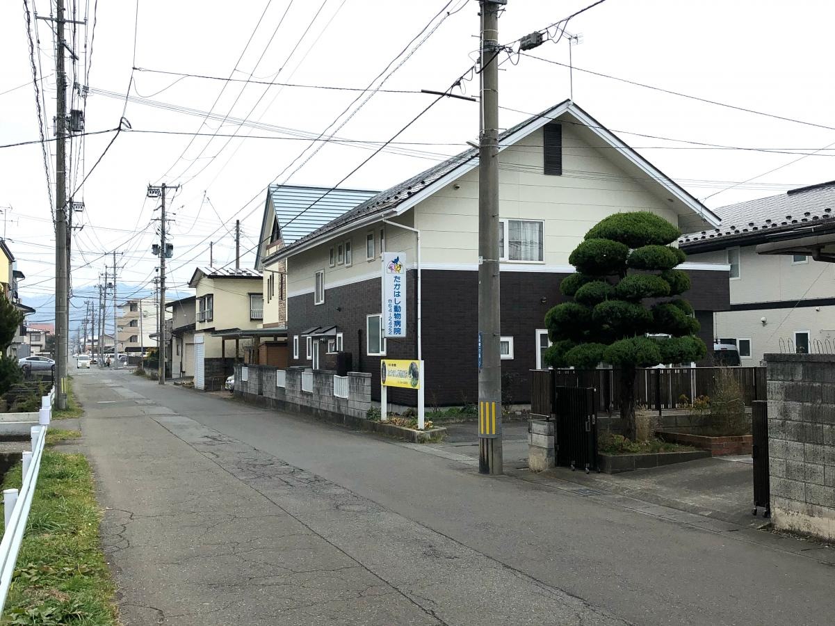 たかはし動物病院