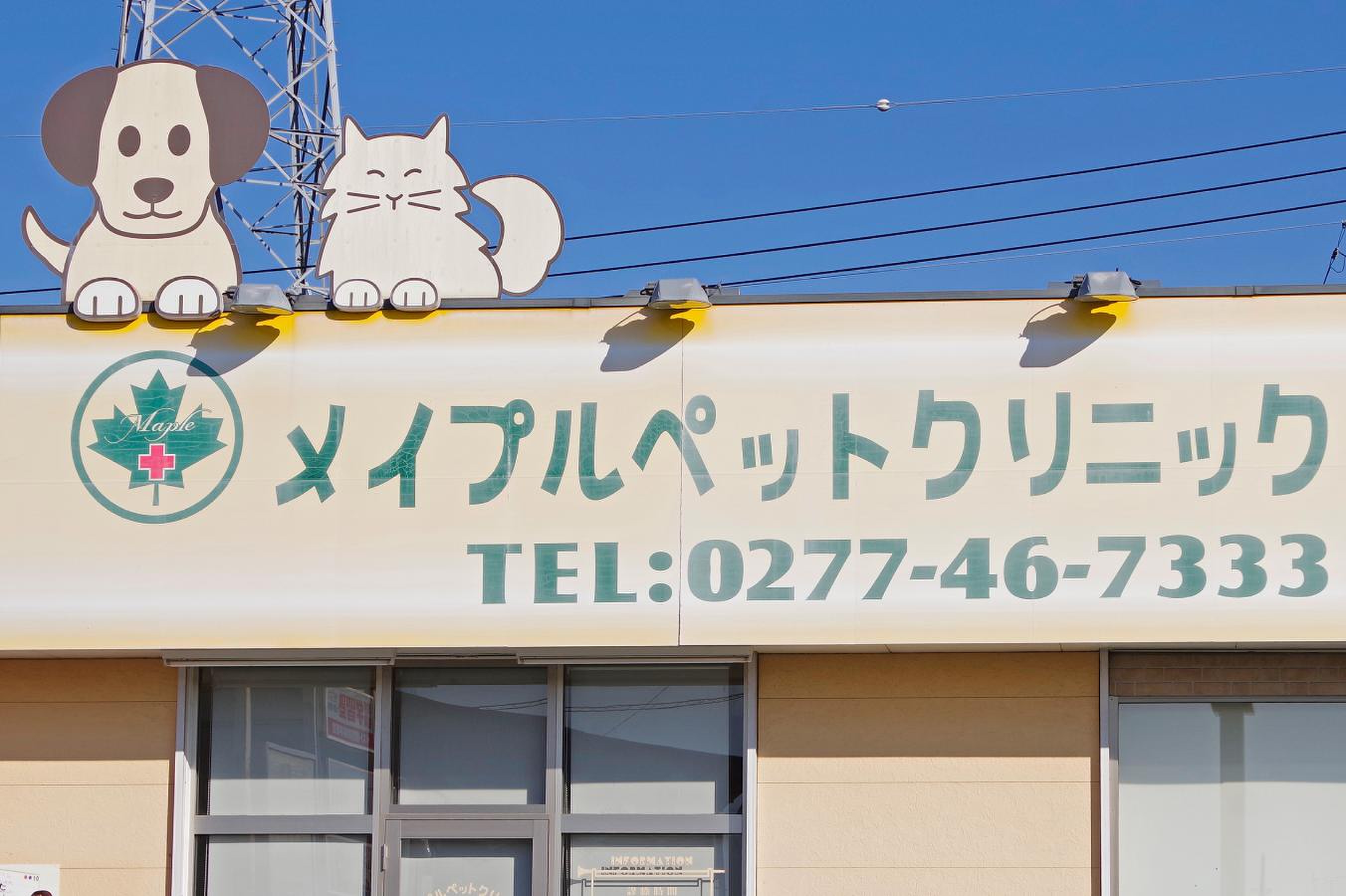 メイプルペットクリニック／ホームメイト