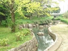 絹の台桜公園