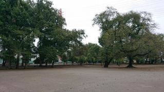 吉野公園