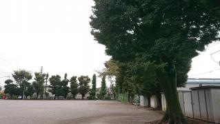 吉野公園
