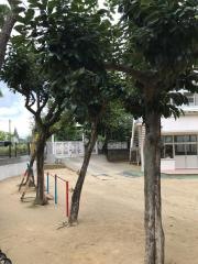 山野幼稚園