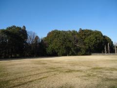 印旛中央公園