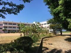 小川小学校