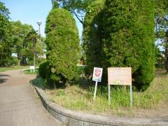 市民の森羽島公園