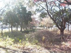 浜田1号緑地