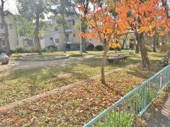 西灘公園
