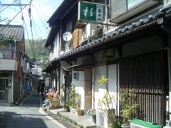 杉