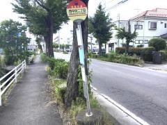 「西中央二丁目」バス停留所