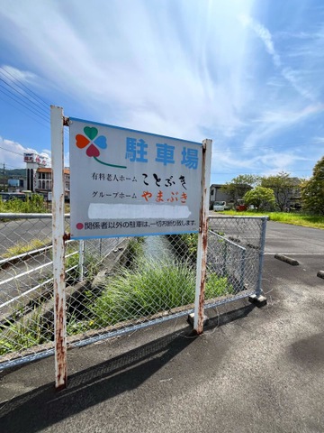 やまぶき