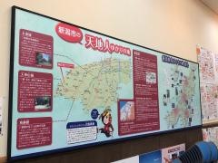 いわむろや