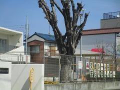 勝川北部保育園
