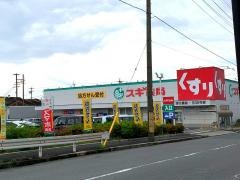 スギ薬局　野立橋店
