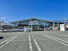 コメリハード＆グリーン　今津店